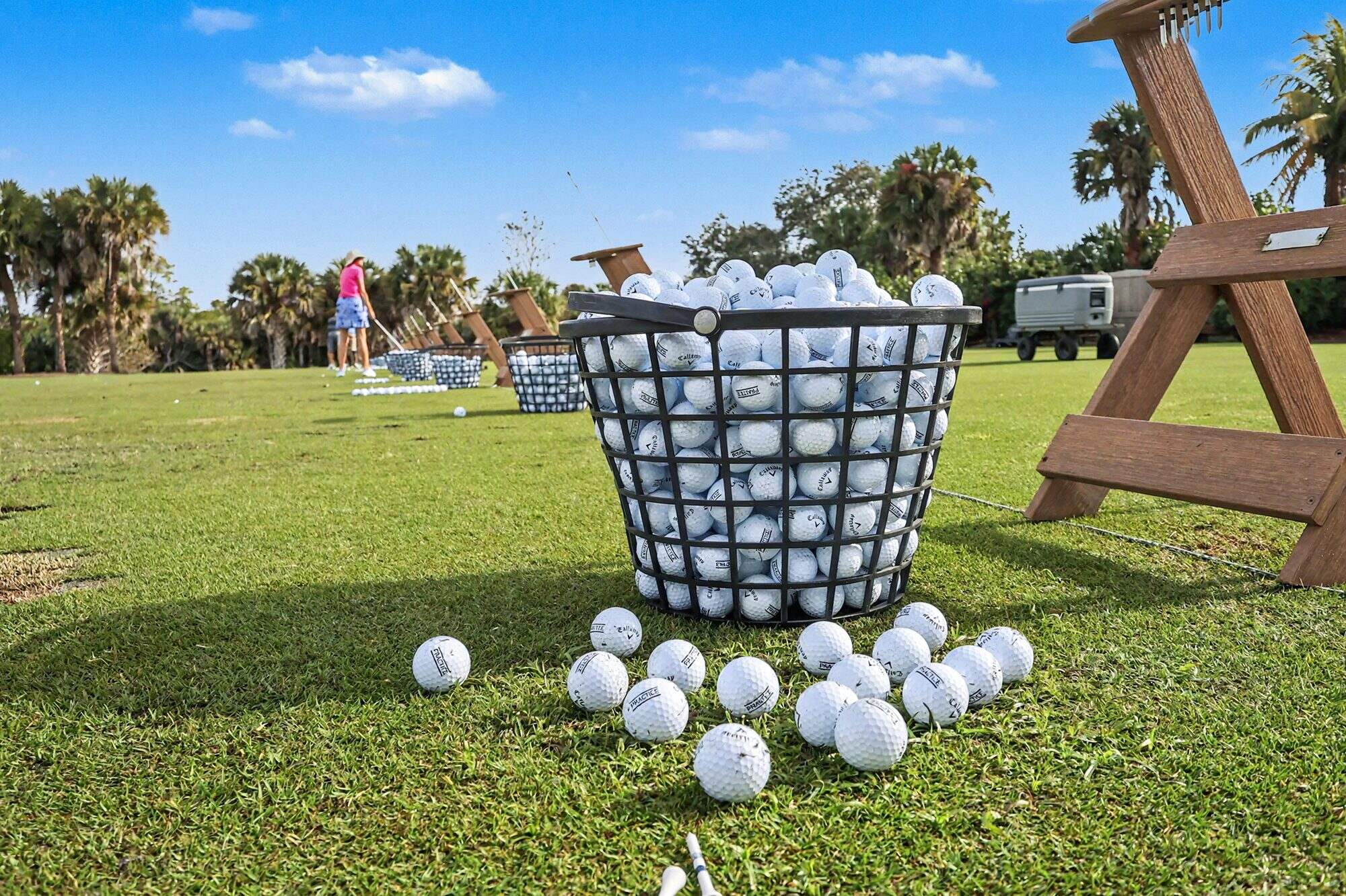 Crown Colony, Fort Myers, Florida