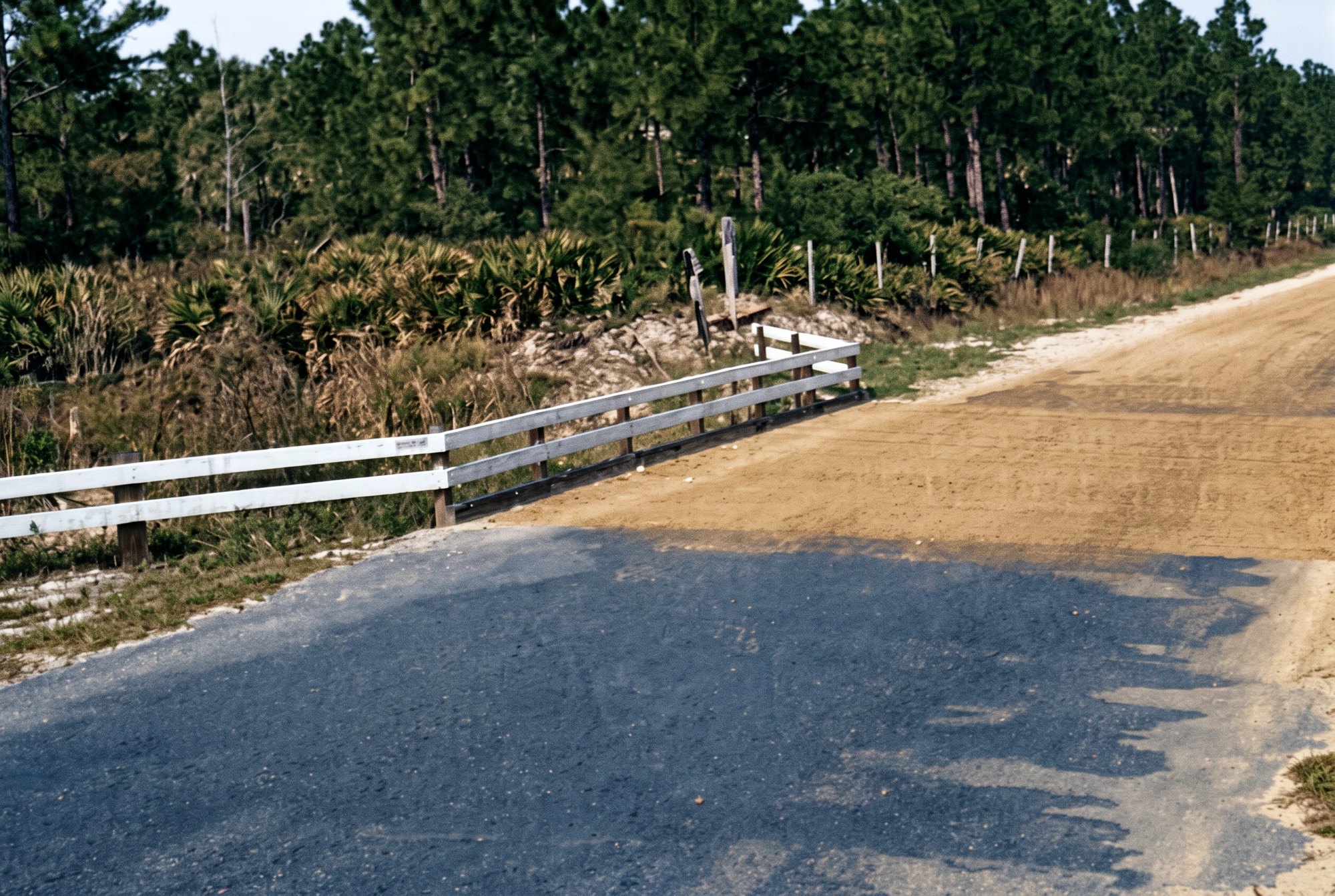 Colorized photo of Del Prado, an early Cape Coral road